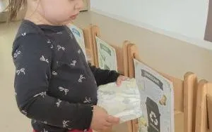 1 (12)