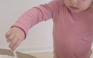 1 (2)