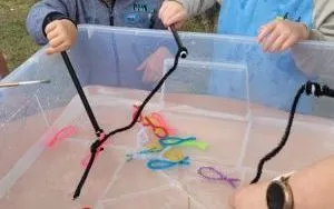 1 (8)