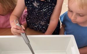 1 (6)