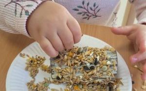 misie (3)