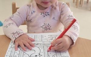 misie (10)
