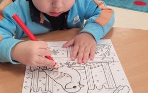 misie (7)