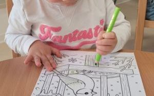 misie (8)
