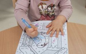 misie (4)