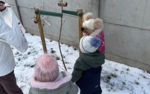karmniki (7)