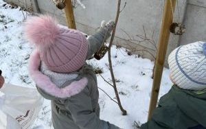 karmniki (6)