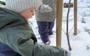 karmniki (5)