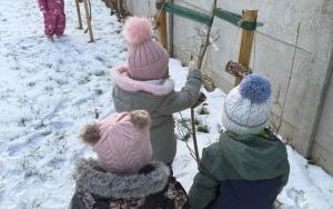 karmniki (2)