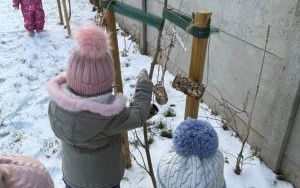 karmniki (1)