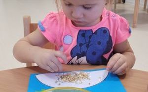 zajęcia (5)